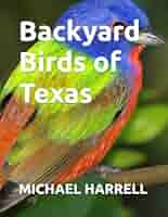 (未使用･未開封品)Birds of the Backyard [DVD] Backyard Birds of Texas (Wildlife of North America and other